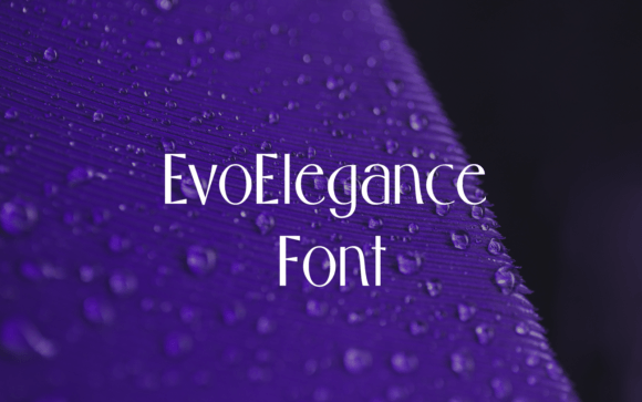 Boost Your Campaign with the Evo Elegance Font