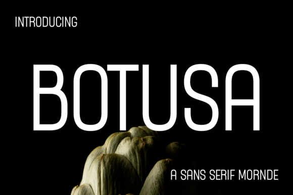 Botusa: A Modern Sans Serif Font for Web Design