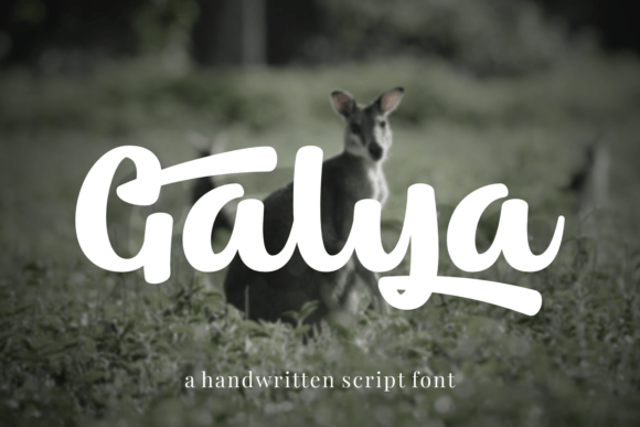 Choosing Galya for a Bold Brand Launch