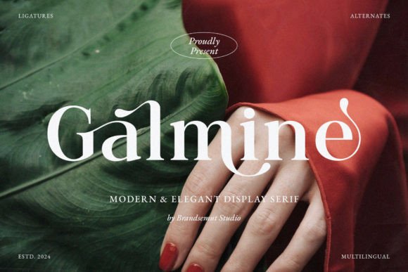 Galmine: A Modern Serif Font for Polished Web Design