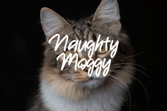 Naughty Moggy Font for Bold Branding
