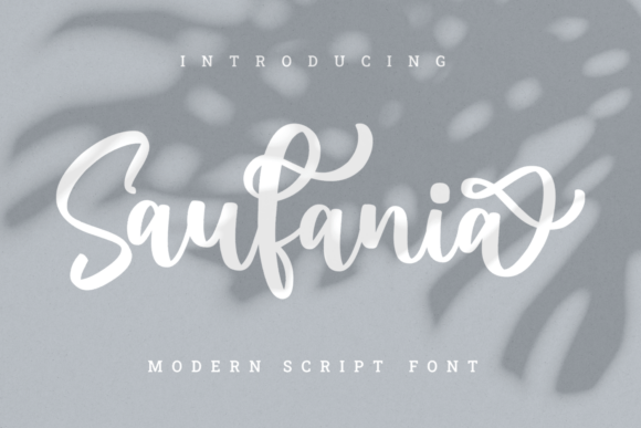 Saufania: The Bold Script Font That Elevates Your Campaigns